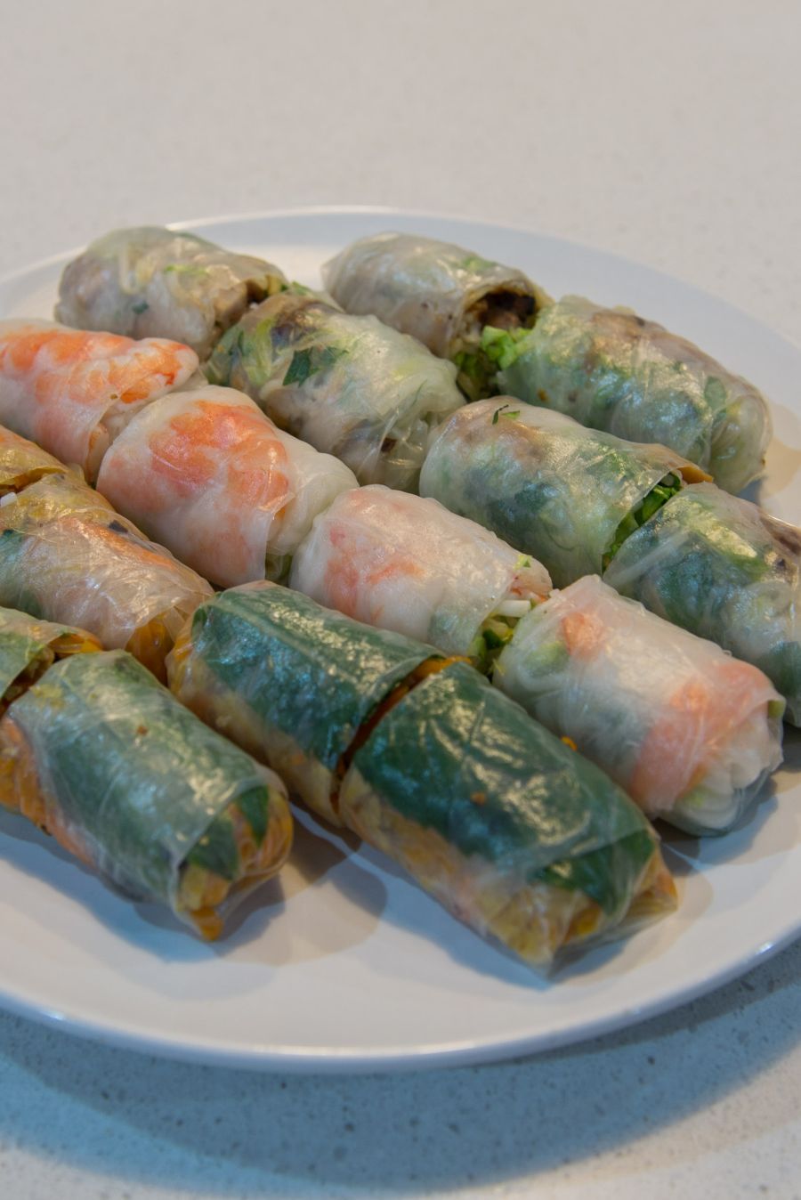 Vegetarian and meat rice paper rolls