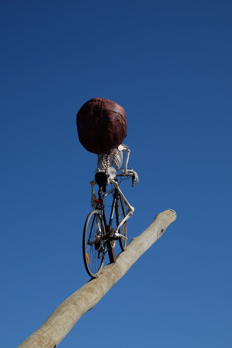 There's many a slip 'twixt the cup and the lip by Ken Unsworth. Timber, bicycle, plastic skeleton, foam, steel, rope