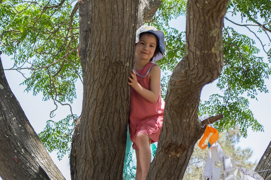 Zoe on the climbing tree