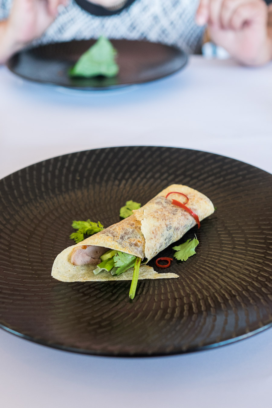 Duck pancake with spring onion, cucumber, coriander and hoisin